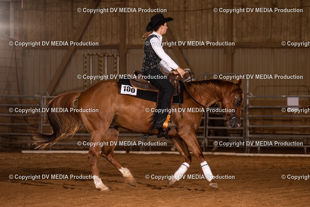 NID01043 | dv-media-shop - Realisiert mit Pictrs.com