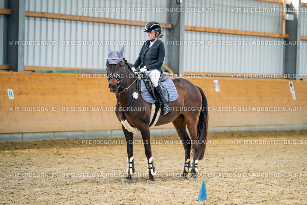 DSC00871 | Pferdegrafie