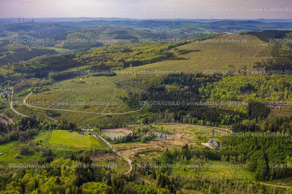 Kreuztal240502520Grubenfeld-Littfeld-Kindelsberg | Luftbild, Waldgebiet mit Waldschäden, Grubenfeld Grubengelände Littfeld Kindelsberg, Fernsicht Hügel und Täler, Littfeld, Kreuztal, Nordrhein-Westfalen, Deutschland