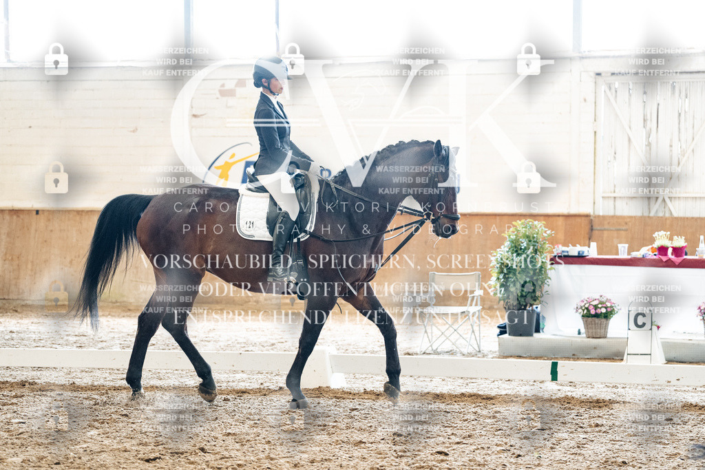 CK900001 | Turnierfotografie Pferdefotografie Trier Rheinland-Pfalz Pferdesport Reitsport Tierfotografie Sportfotografie Pferdevideo Pferdevideografie Equestrianvideography equestrianphotography  - Realisiert mit Pictrs.com