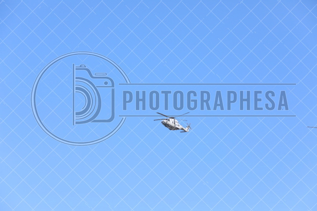 IMG_8838 | photographesa-joergens - Realisiert mit Pictrs.com