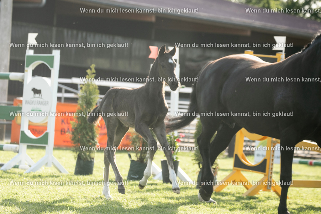 598A7429 | photographylinaismer - Realisiert mit Pictrs.com