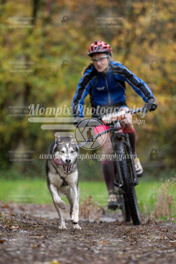 MompixPhotography_Bischwiller23_Bike-10 | PayLife