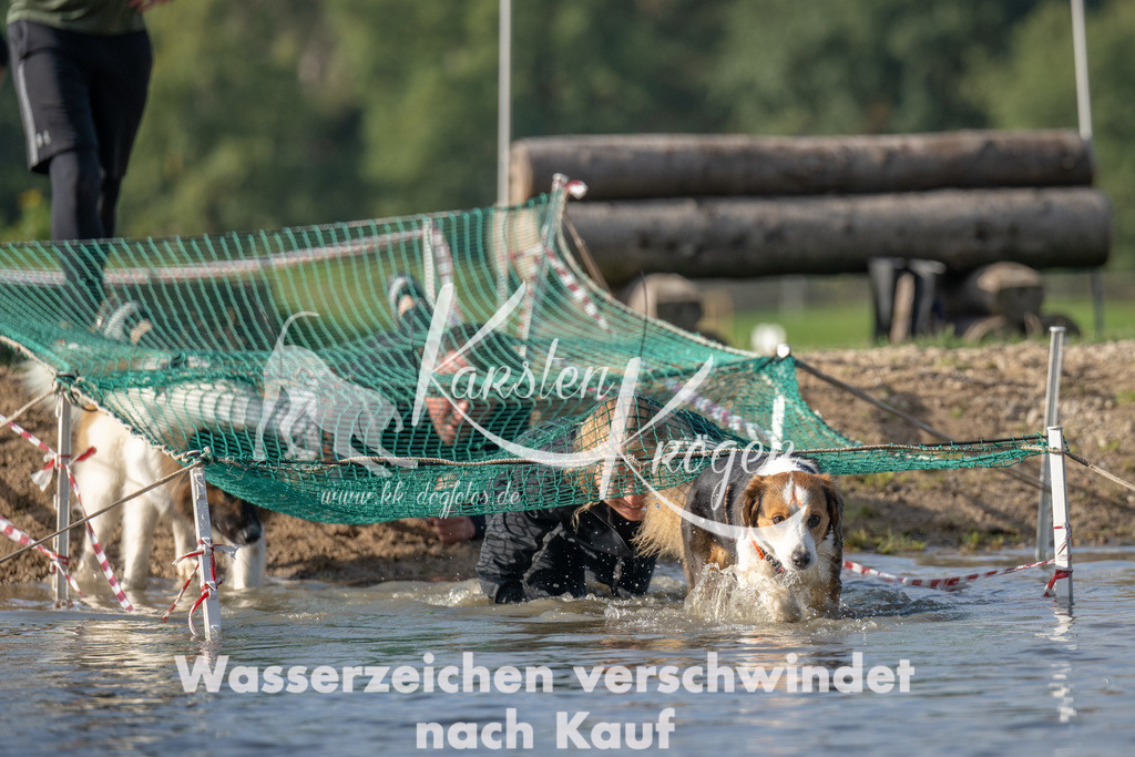 1105_ZZ91349 | kk-dogfotos
