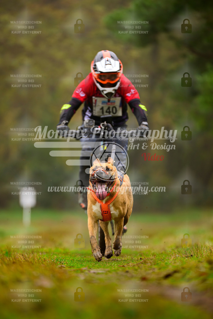 MompixPhotography_Bischwiller2025_Bike-109 | mompixphotography