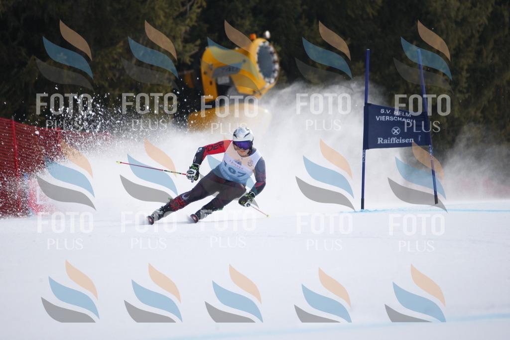 D7801 | holidayphoto