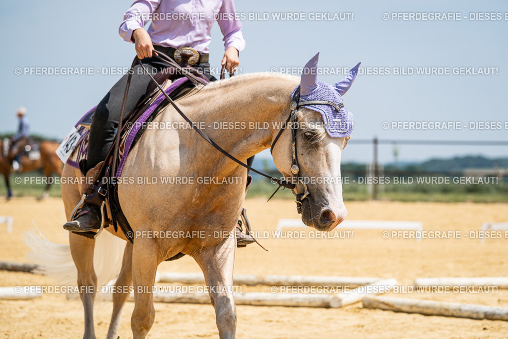 DSC01085 | Pferdegrafie