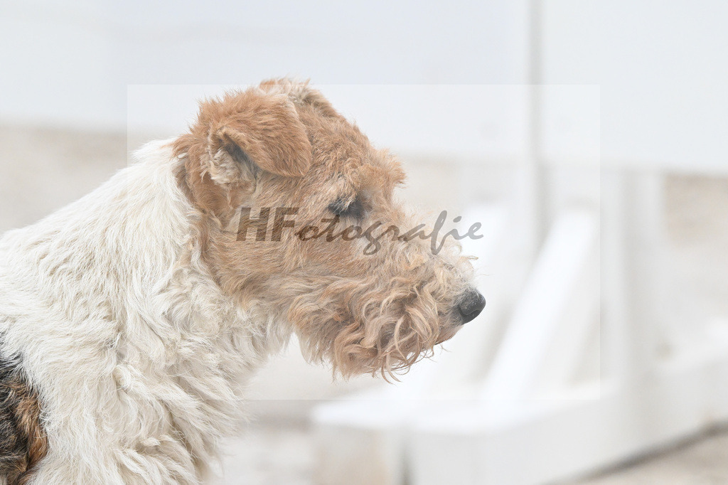 Impressionen_14260026 | hf-fotografie - Realisiert mit Pictrs.com