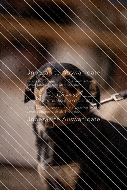 LR262_SD_01662 | saradresslerfotografie - Realisiert mit Pictrs.com