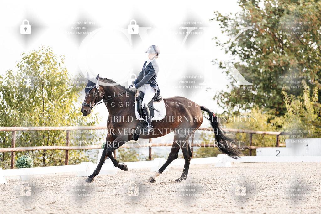 CK900455 | Turnierfotografie Pferdefotografie Trier Rheinland-Pfalz Pferdesport Reitsport Tierfotografie Sportfotografie Pferdevideo Pferdevideografie Equestrianvideography equestrianphotography  - Realisiert mit Pictrs.com