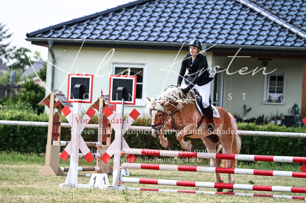 DSC_8733 | Pferde- und Turnierfotografie in Westsachsen. Pferdeportraits, Auftragszeichnungen und intuitive Kunst.