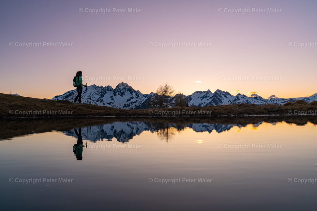 Glocknerblick_Krokusse_2024-172 | piet_flosse