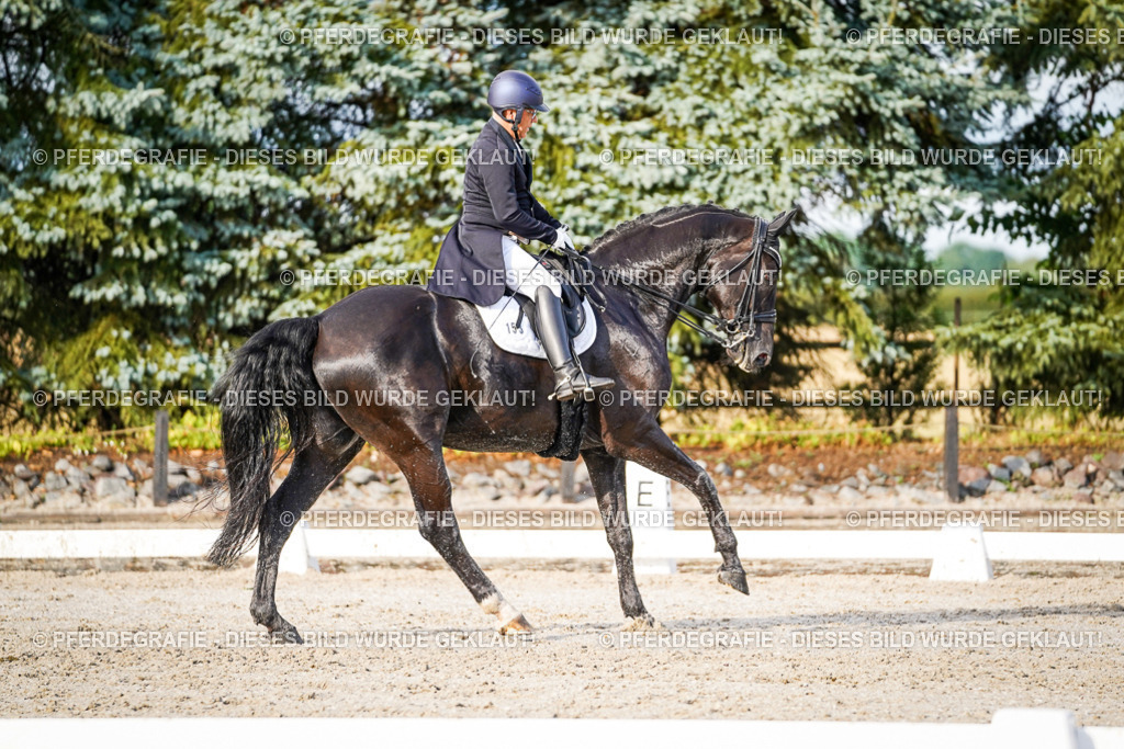 DSC00559 | Pferdegrafie