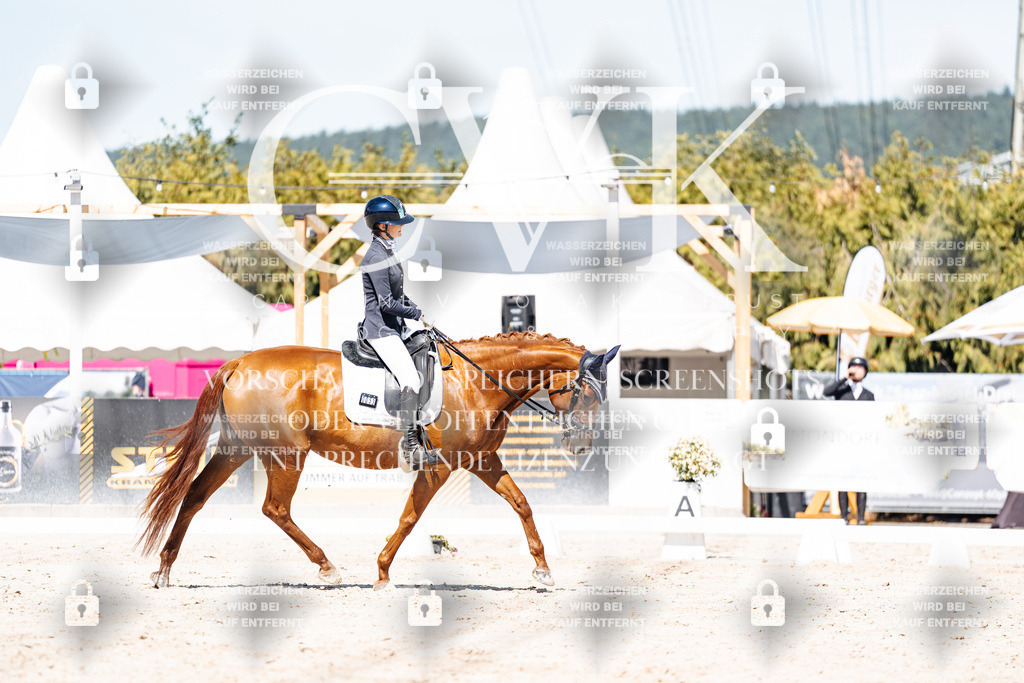 CK909705 | Turnierfotografie Pferdefotografie Trier Rheinland-Pfalz Pferdesport Reitsport Tierfotografie Sportfotografie Pferdevideo Pferdevideografie Equestrianvideography equestrianphotography  - Realisiert mit Pictrs.com