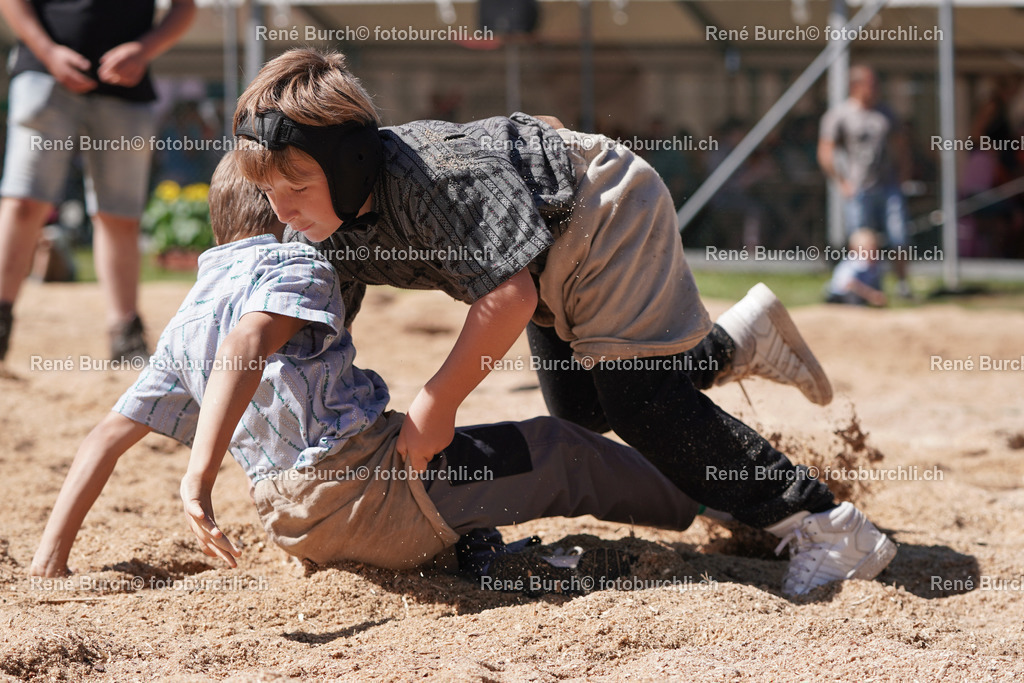 DSC08287 | René Burch leidenschaftlicher Fotograf aus Kerns in Obwalden.  Hier finden sie Sport, Landschaft und Natur Fotografie.
 - Realisiert mit Pictrs.com