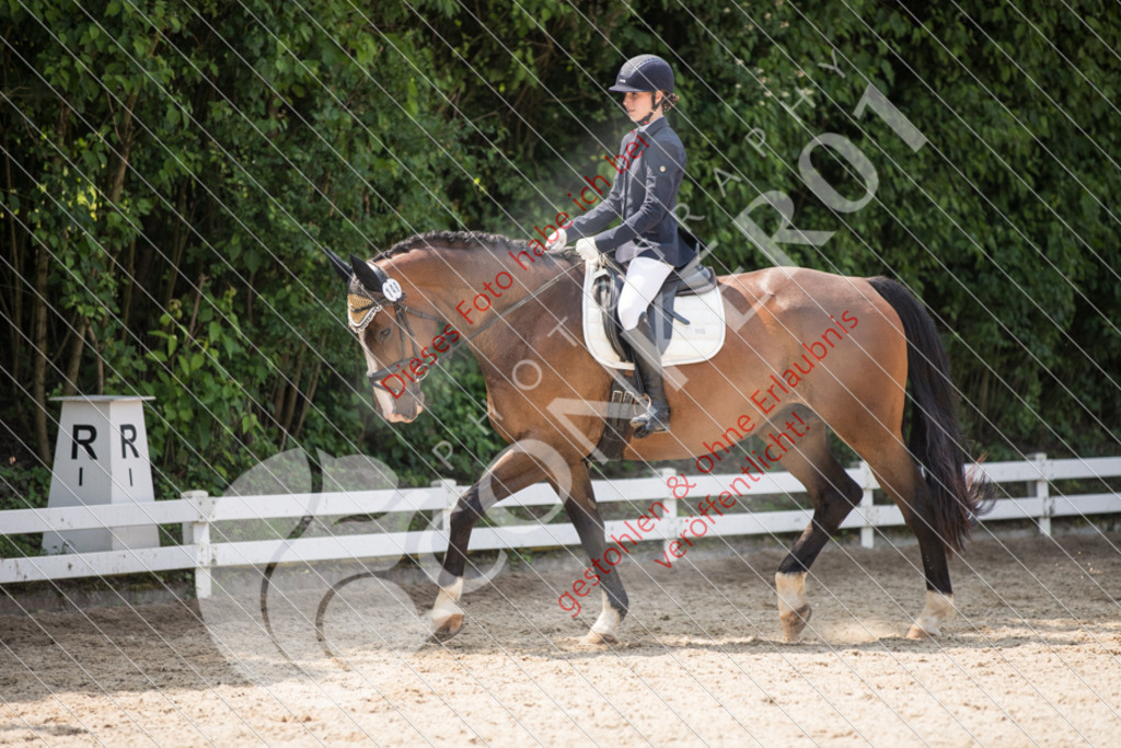 IMG_3884 | Sport-, Event- und Tierfotos in Profiqualität. Einfach auswählen, bestellen und herunterladen. Dein Moment – perfekt festgehalten.