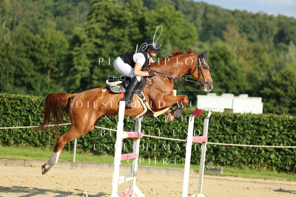 IMGM3942 | pl-fotografie