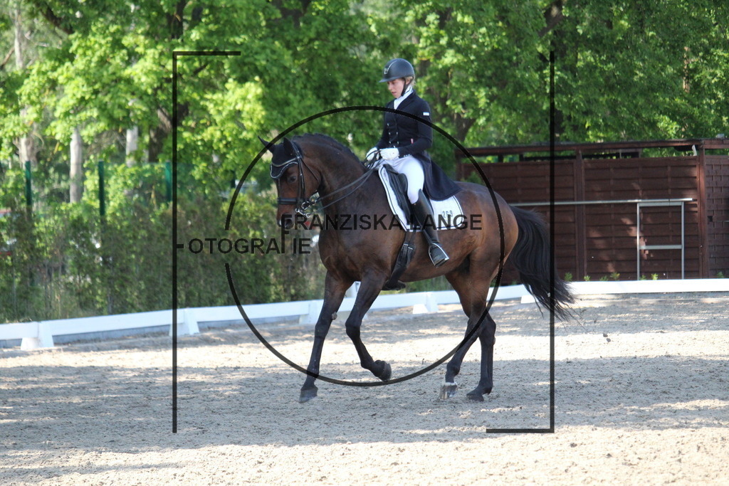 IMG_4996 | franziskalange - Realisiert mit Pictrs.com