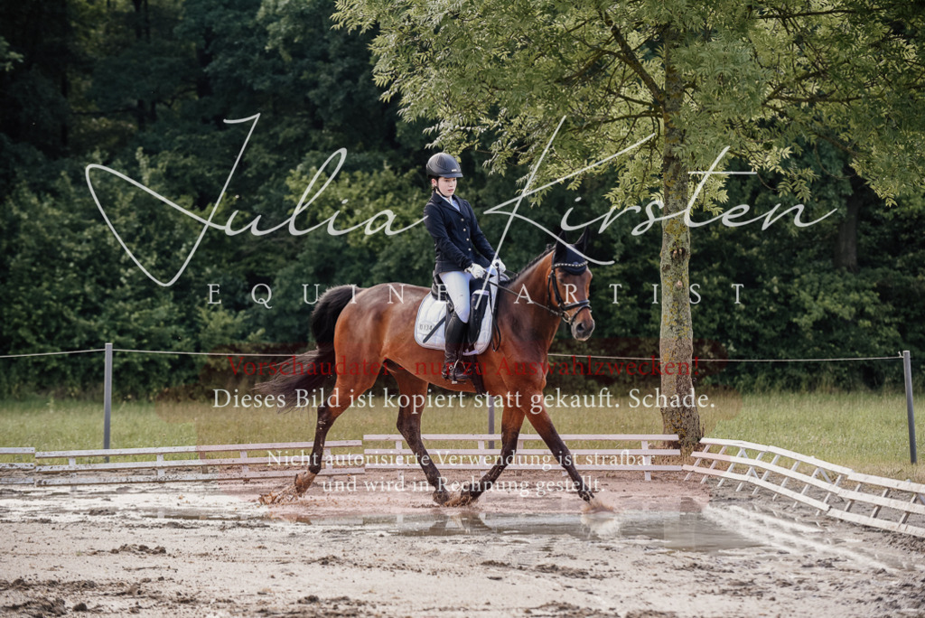 DSC_8031 | Pferde- und Turnierfotografie in Westsachsen. Pferdeportraits, Auftragszeichnungen und intuitive Kunst.