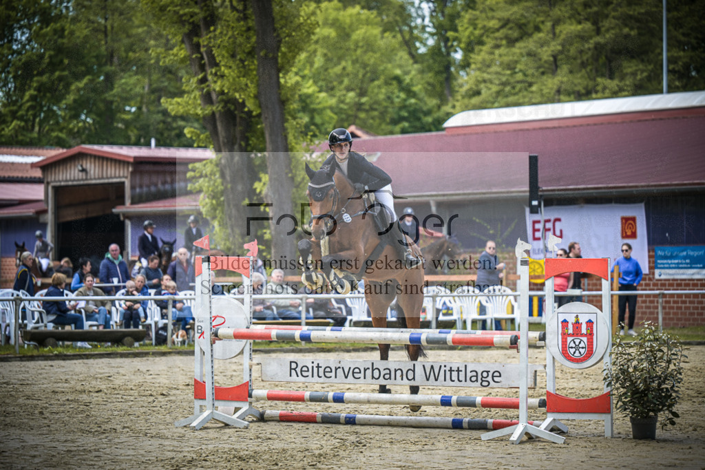 DOS_6650 | Entdecke hochwertige Reitturnierfotos von Foto Oger. Professionell, emotional und authentisch – jetzt Lieblingsmomente im Shop bestellen.Deutschlandweite Turnierfotografie. - Realisiert mit Pictrs.com