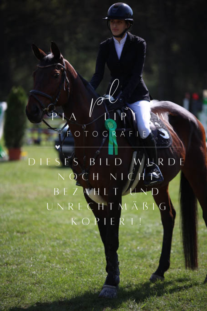 IMGT5746 | pl-fotografie