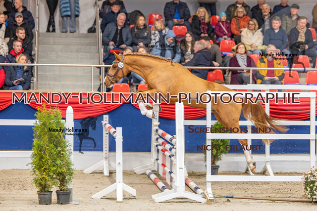 KWEDR (13 von 496) | mandyhollmannphotographie