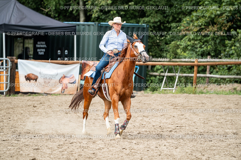 DSC02371 | Pferdegrafie