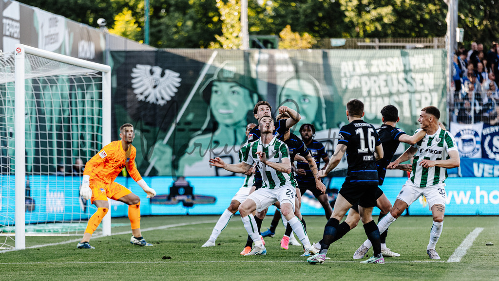 20250509-scp-bsc-0156 | Das ist die Fotodatenbank für authentische Sportfotografie aus Münster: Markus Paletta fotografiert Teams, Sportler:innen, Kinder, Events & Unternehmen. - Realisiert mit Pictrs.com