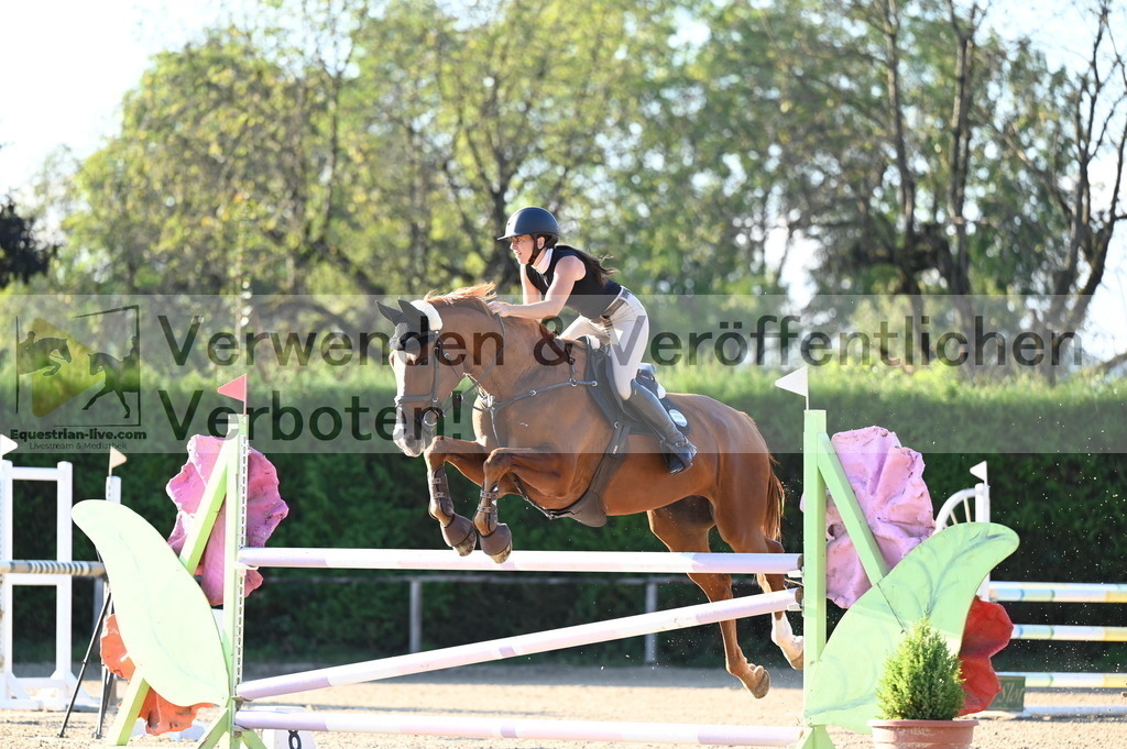 DSC_8960 | equestrian-live-com