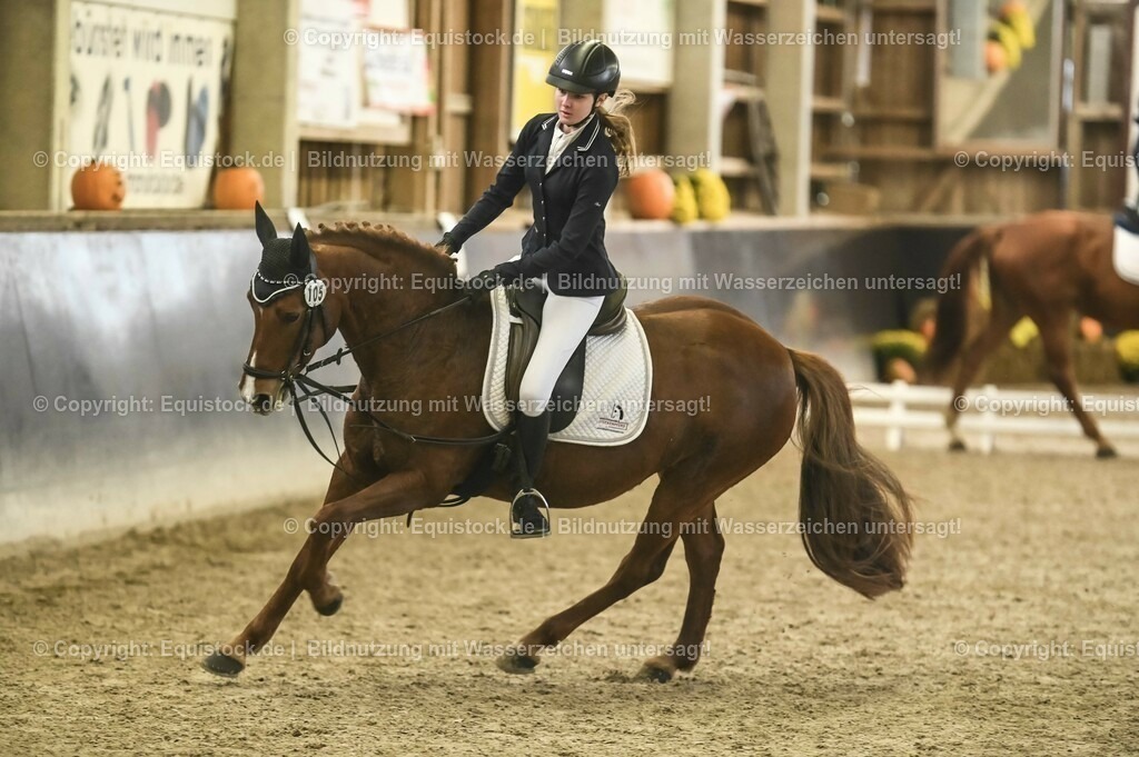 20231029_02_Reiter-WB_Schritt-Trab-Galopp_Abteilung-01_0058 | Foto: Thomas Hartig