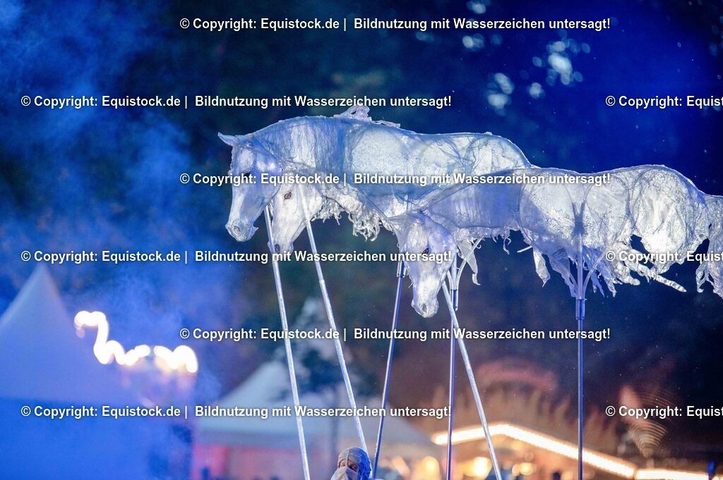 20250606_Lange-Pferdenacht_1044 | Foto: Thomas Hartig