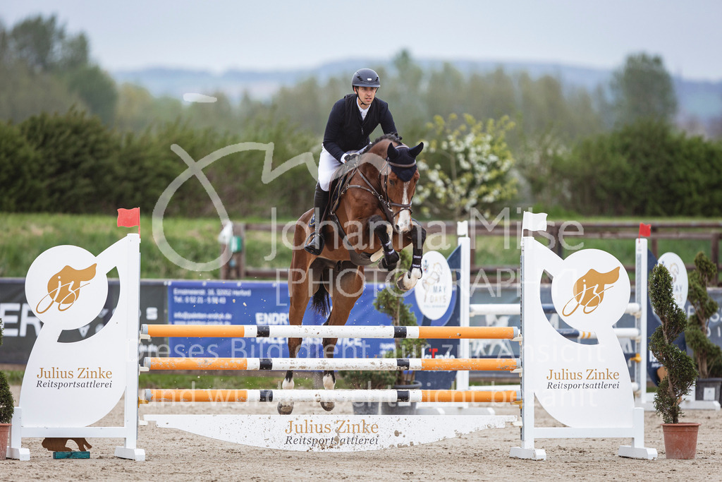 250417_Springpferde-L1-257 | Deine schönsten Turniermomente als professionelle Fotos! Entdecke hochwertige Pferdesport-Fotografie im Online-Shop. Jetzt Fotos finden & bestellen!