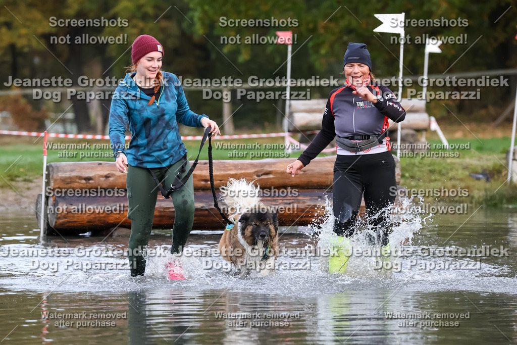 Dog Paparazzi - Strongdog 10-25-6508 | Dog Paparazzi Jeanette Grottendiek Fotografie & Videografie - Realisiert mit Pictrs.com