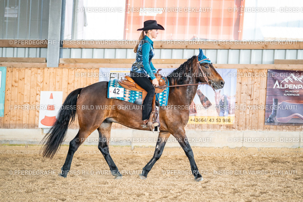 DSC08771 | Pferdegrafie