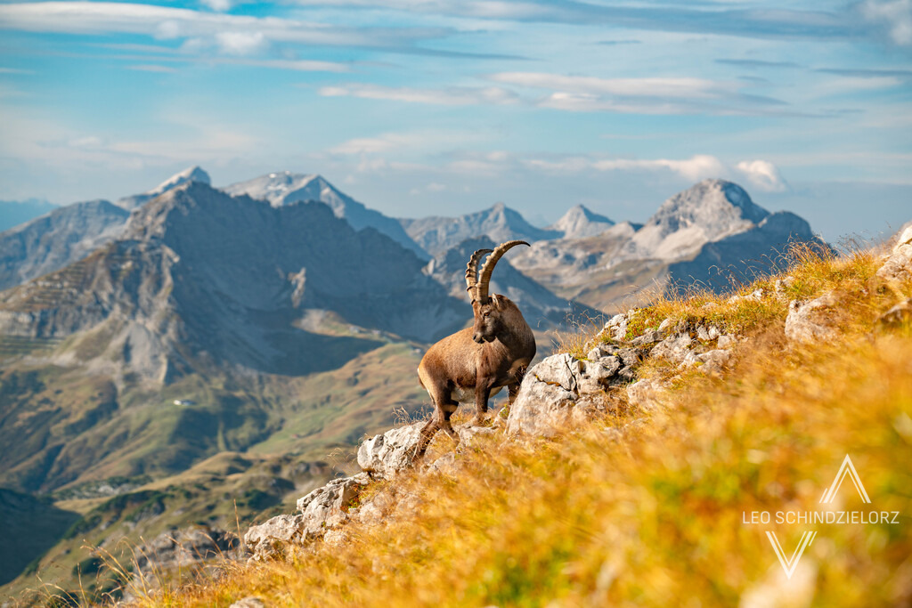 Fotografie_Leo_Schindzielorz_DE_Herbst_Allgaeu_Mindelheimer_20211002_A7R05700_org-2 | Atmosphärische Landschaftsbilder & Drohnenaufnahmen aus dem Allgäu, Tirol, Südtirol & der Schweiz – ideal für Leinwanddrucke & zur stilvollen Raumgestaltung. - Realisiert mit Pictrs.com
