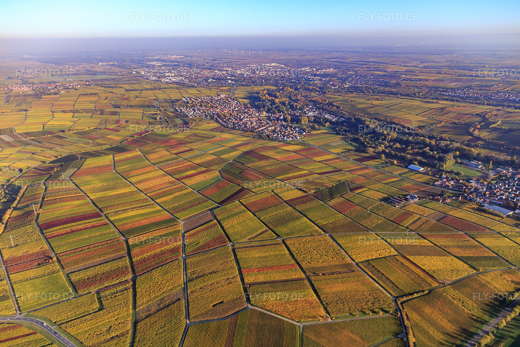 Luftbild: Weinberge im bunten Herbstlaub zwischen Frankweiler und Siebeldingen aus Nordwesten im Ortsteil Godramstein in Landau im Bundesland Rheinland-Pfalz in Deutschland. Foto: IMG_095692.jpg vom 30.10.2016 durch Werner Riehm/FLY-FOTO.de