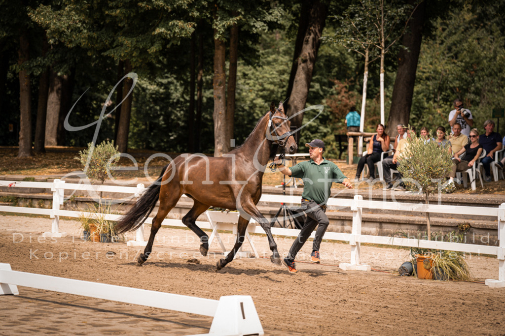 2. Fr00047 | Leoni Ertmer Photography - Realisiert mit Pictrs.com