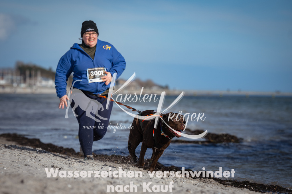1334_ZZ91988 | kk-dogfotos