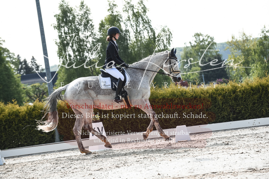 20230518_JK-Röhrsdorf-09-1165 | Pferde- und Turnierfotografie in Westsachsen. Pferdeportraits, Auftragszeichnungen und intuitive Kunst.