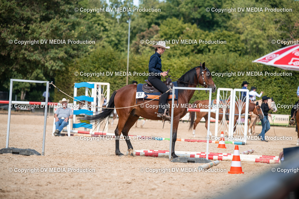 EWP_6870 | dv-media-shop - Realisiert mit Pictrs.com