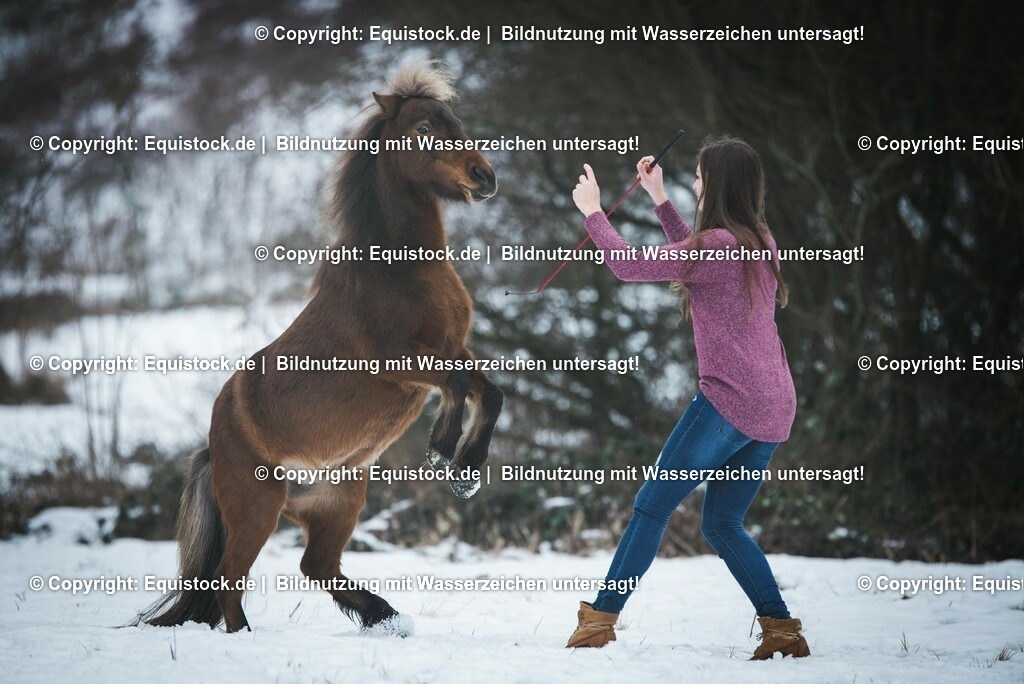 TS_20170129_Brauner_Freilauf_0006 | Foto: Thomas Hartig