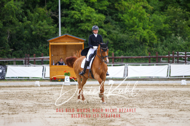 DKP47953 | Turnierfotos kaufen im Webshop von Daniel Kuhl Photography – entdecke professionelle Reitsportfotos aus Turnieren & Events. Hochwertige Turnierbilder online bestellen & sichern. Jetzt Fotos von Reitsportturnieren kaufen!