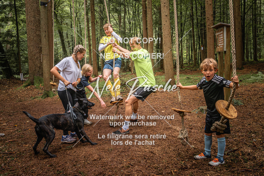 nelerasche_So0930-1030_83 | nelerasche