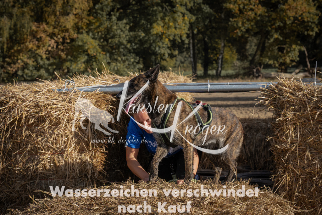 1053_ZZ99473 | kk-dogfotos