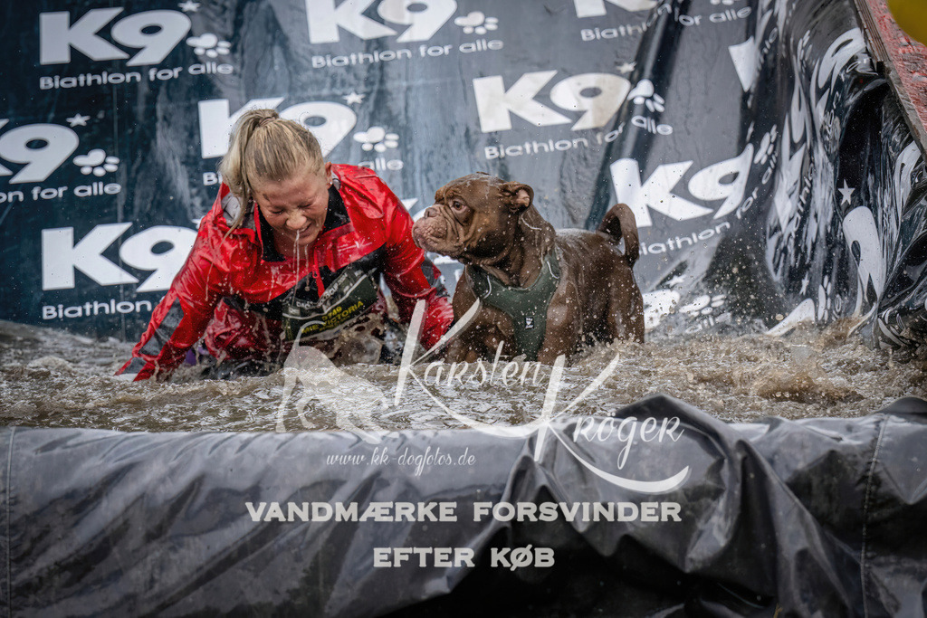 1237_ZZ90280 | kk-dogfotos