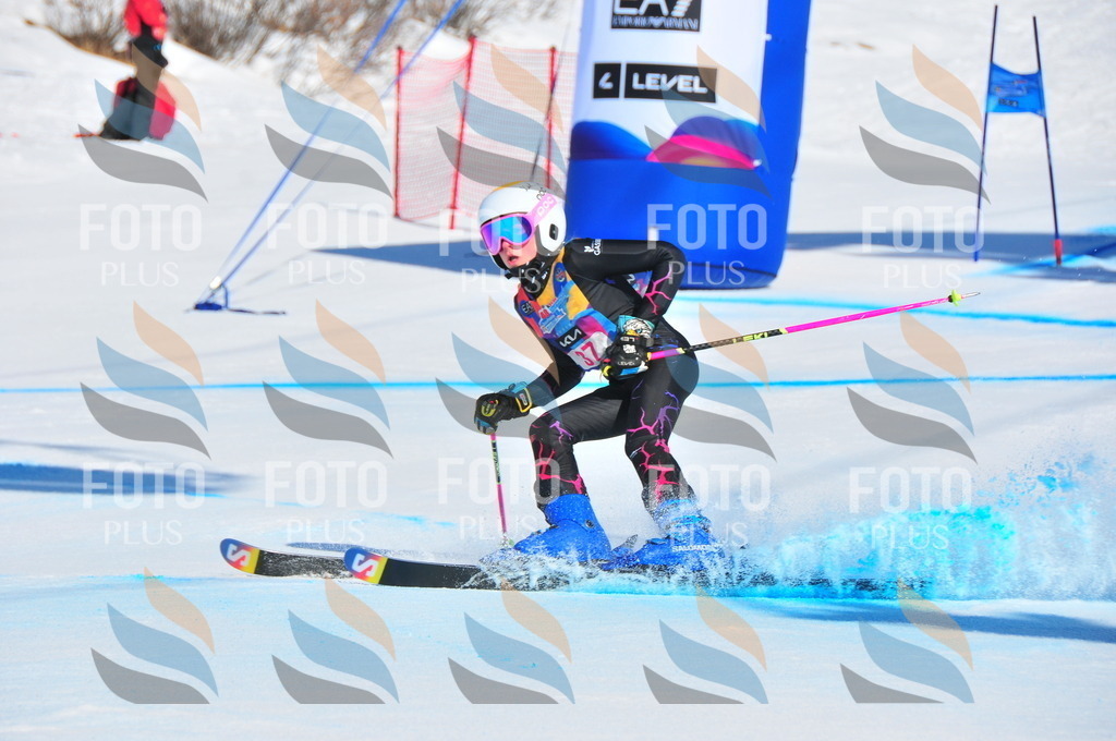 DSC_3981 | holidayphoto