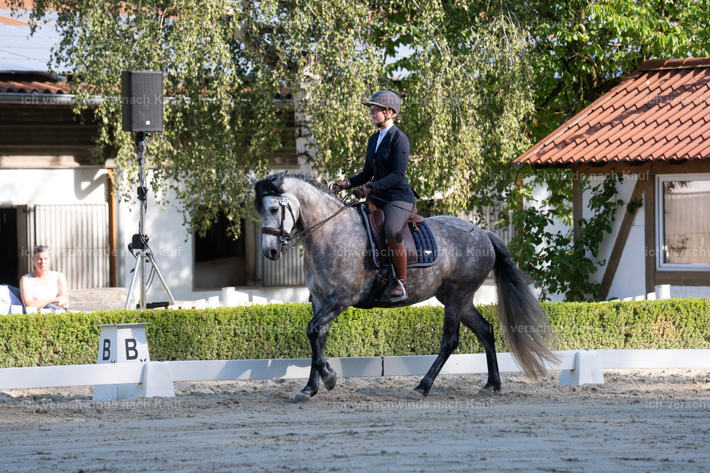 WL_DR_6_sinafilmart_IN05823 | working equitationturnier fotograf videograf stoibphotography marixx film working equitation deutschland reitsport turnierfotografie eventfotografie equestrian events