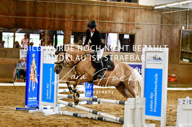 _DSC7535 | larahueckfotografie