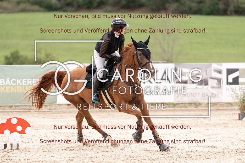 DSC06760 | Springturnier_Teamchallege_Talheim_2026, Lara-Sophie_Strom, Nectarine_V.D.Wart