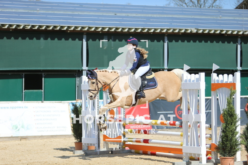 DL2Q3521 | Willkommen bei Brunnmayr - Design & Fotografie – Ihrem Spezialisten für Reitturniere und Pferdeveranstaltungen in Oberösterreich, Salzburg und Bayern! Seit über 17 Jahren sind wir leidenschaftlich dabei.